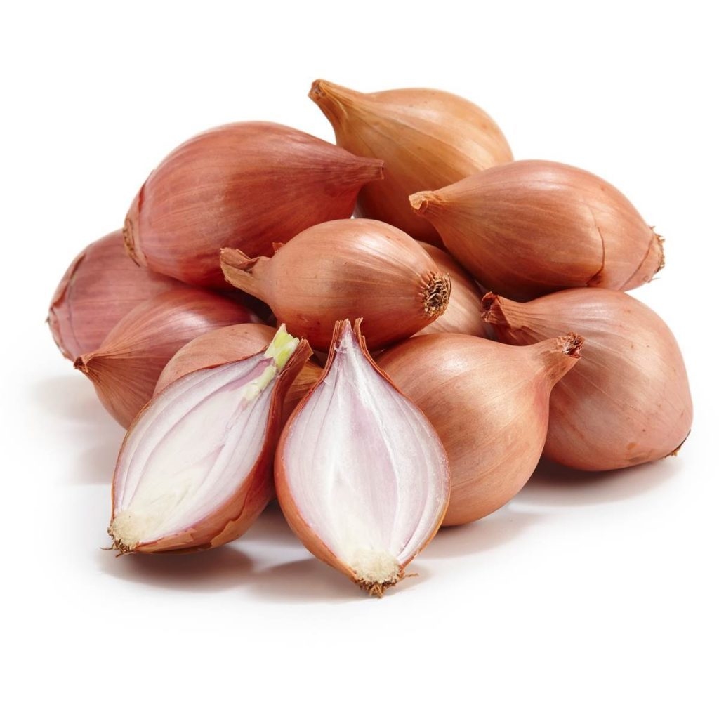 Ajo Echalote (ea)