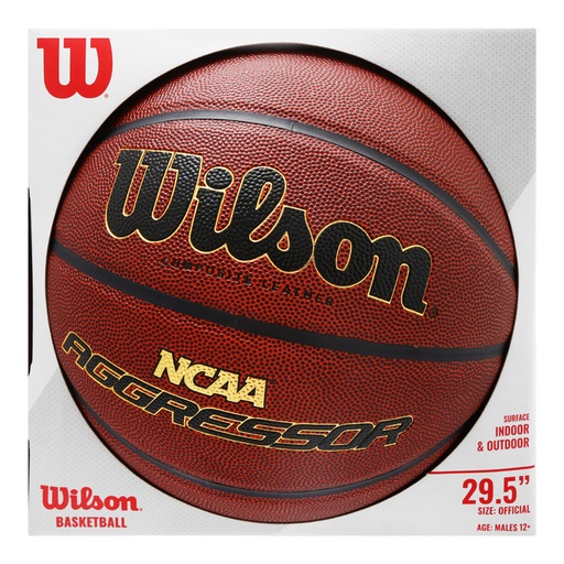 Balon Basquetbol