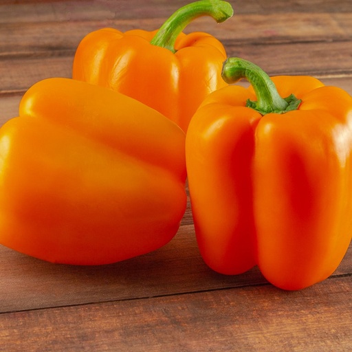 Orange Bell Pepper - (ea)